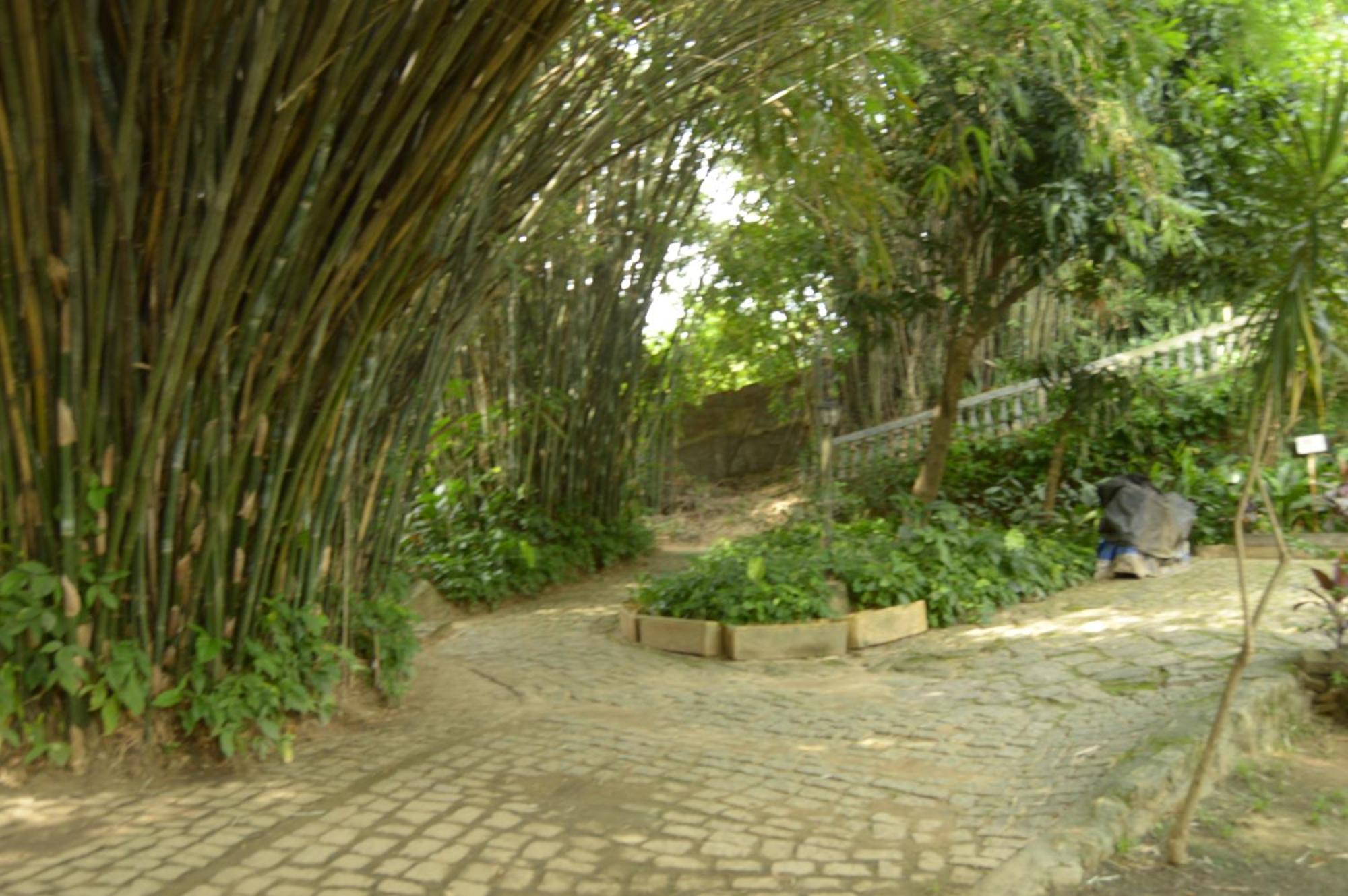 Rio Natureza Adaptado Apart 101 Rio de Janeiro Exterior foto